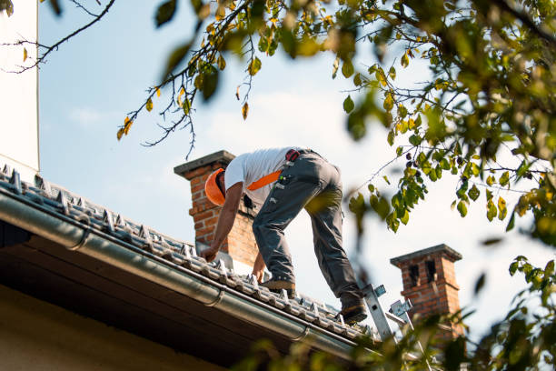 Best Gutter Installation and Roofing  in Weyauwega, WI