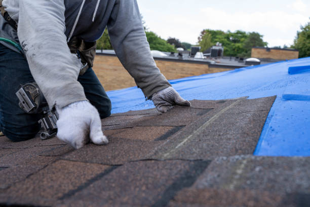 Best Roof Waterproofing Services  in Weyauwega, WI