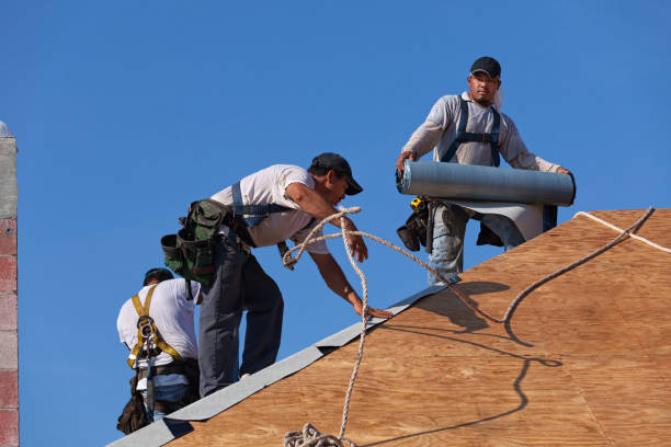 Best New Roof Installation  in Weyauwega, WI